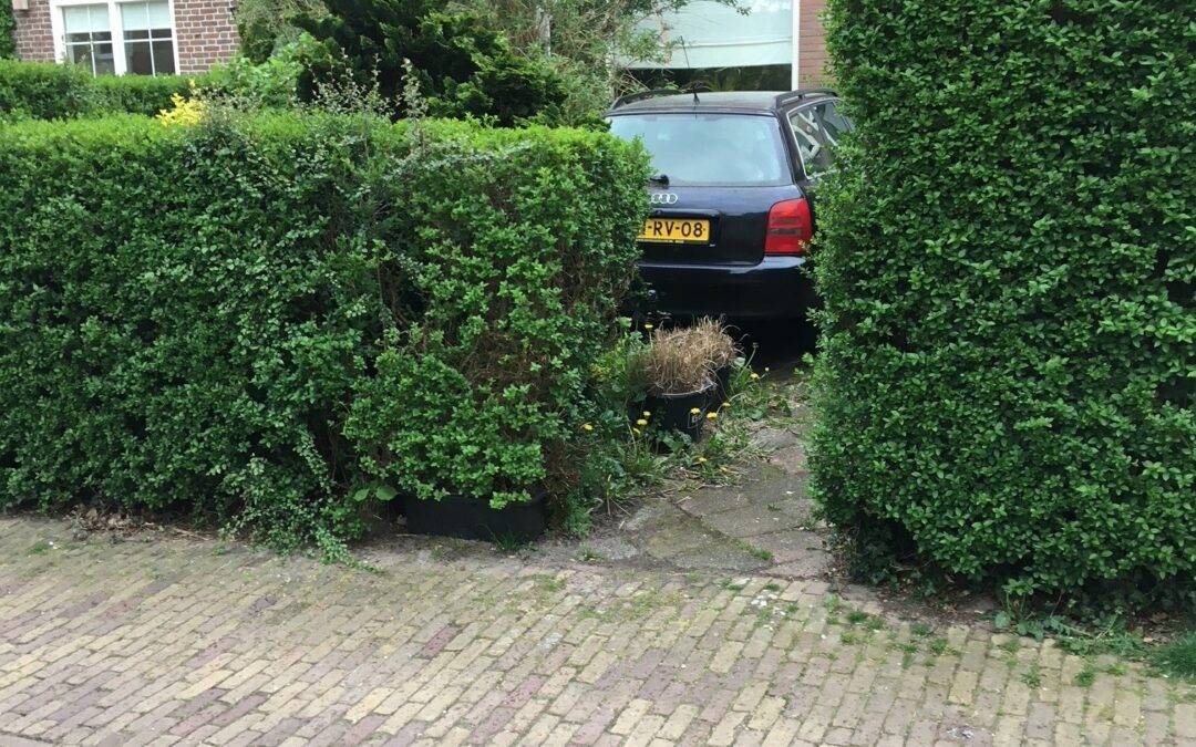 Bijzonder Laren