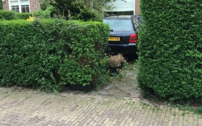 Bijzonder Laren