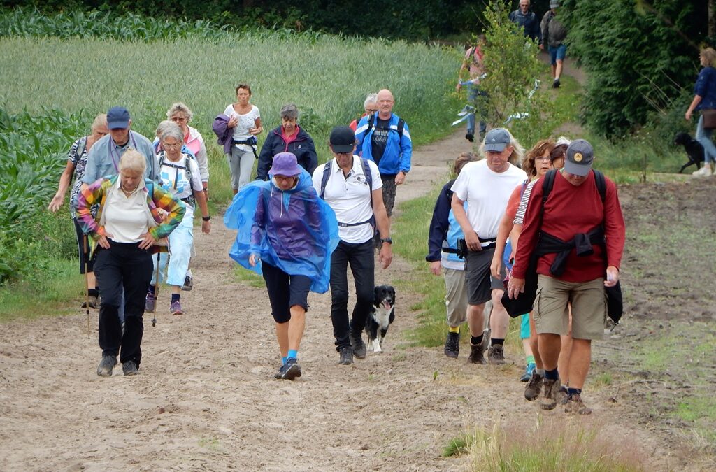 Wandelen