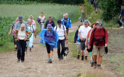 Wandelen