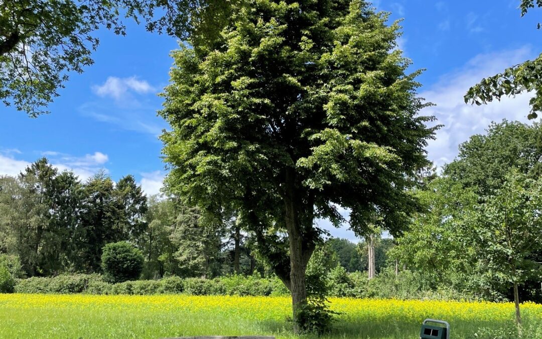 Natuur = Geduld